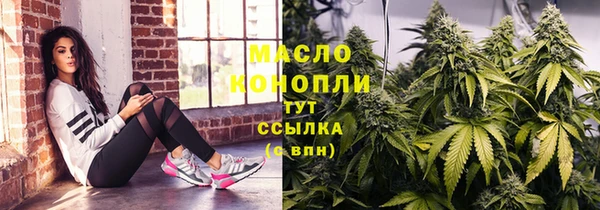 СК Каменка