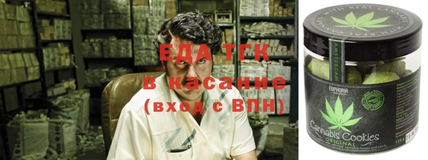 СК Каменка